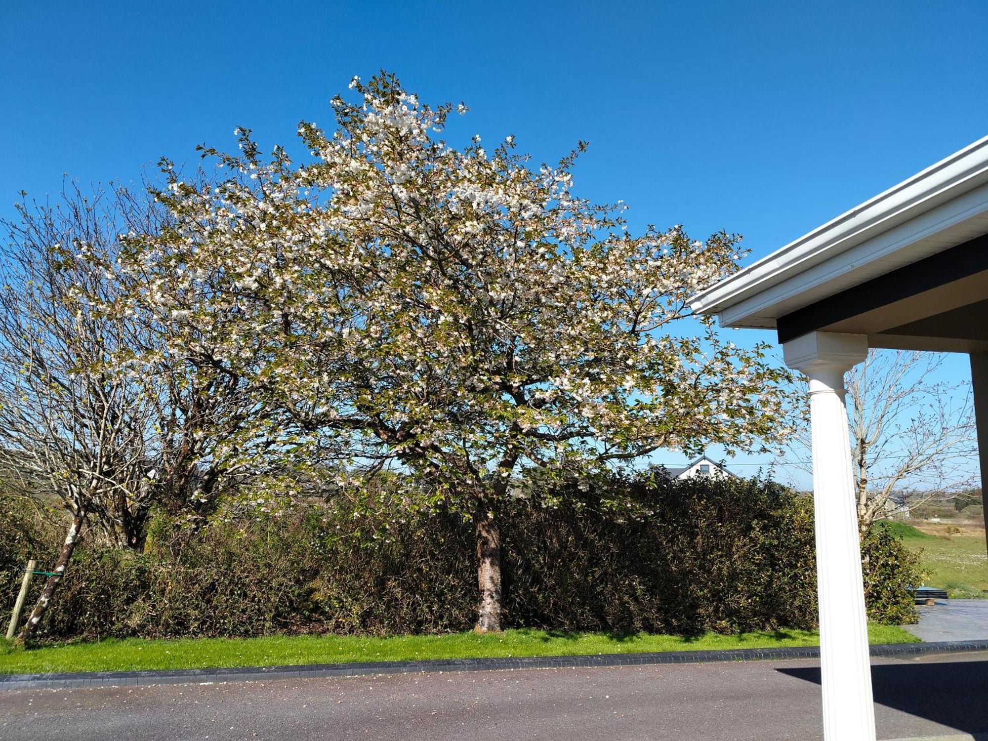 Sleepy Valley Homestay Rathmore (Kerry)